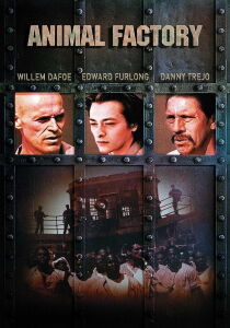 Animal Factory streaming