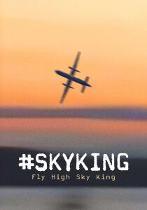 SKYKING [Sub-ITA] streaming