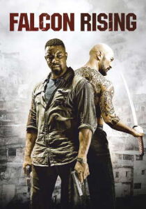 Falcon Rising streaming