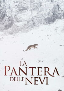 La pantera delle nevi streaming