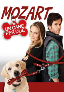 Mozart, un cane per due streaming