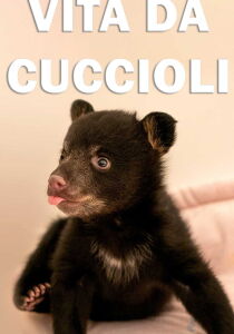 Vita da cuccioli streaming