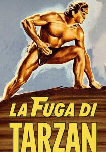 La fuga di Tarzan streaming