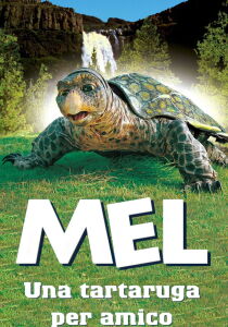 Mel, una tartaruga per amico streaming