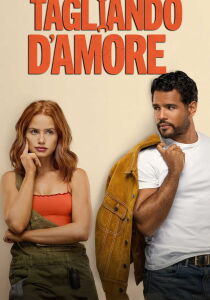 Tagliando d'amore streaming