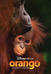 Orango [Sub-ITA] streaming