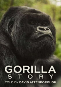 A Gorilla Story - L'incontro di David Attenborough streaming
